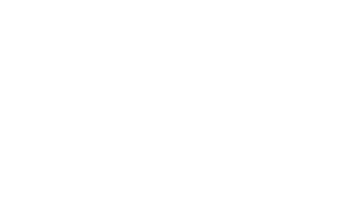 Logo Triade