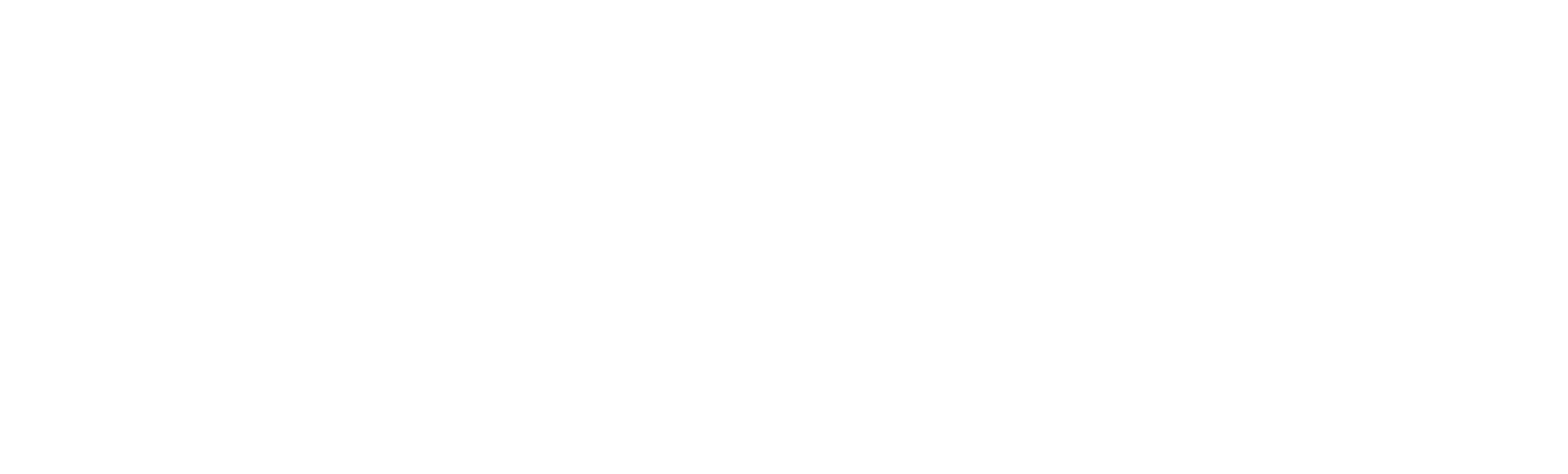 LogoSaoCamiloBrasil
