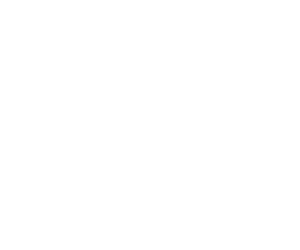 logo eximio 2